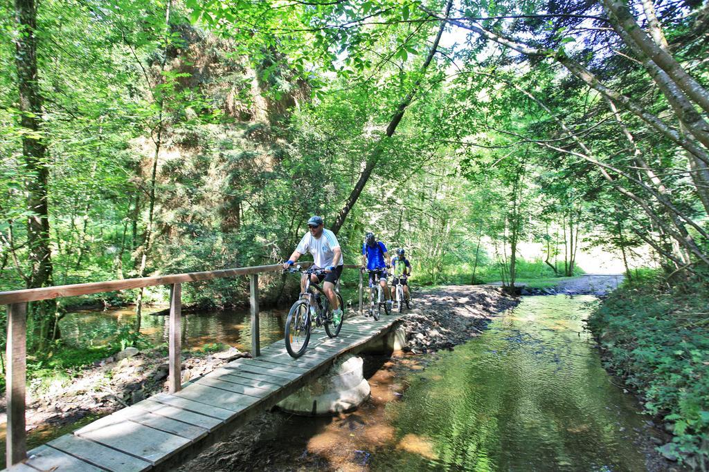 Hotellerie De Plein Air Camping Leychoisier Bonnac-la-Cote Экстерьер фото